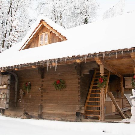Apartma Kasca Домжале Экстерьер фото
